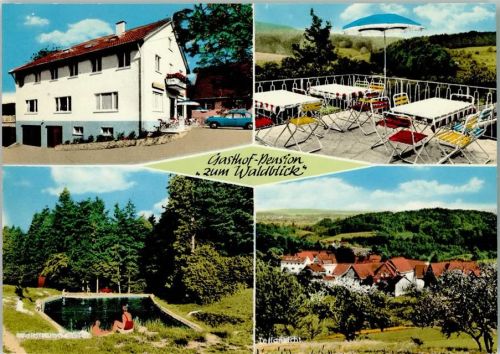 Trauzenbach Gasthof Pension Zum Waldblick Terrasse Schwimmbad Teilansicht 4-Bildaufnahme