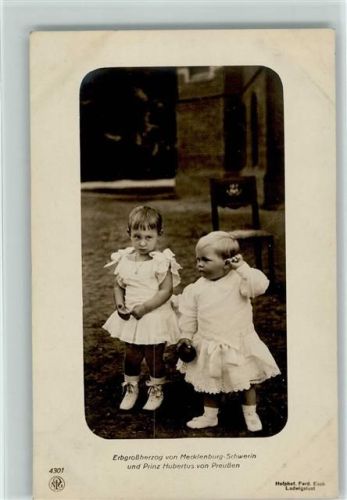 1911 Prinz Hubertus und Erbgroßherzog v. Mecklenburg-Schwerin als kleine Kinder NPG 4301 Foto AK
