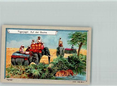 Sammelbild Serie 449-4 - Tigerjagd