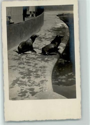 ca 1938 AK Th. Hoffmann Photograf