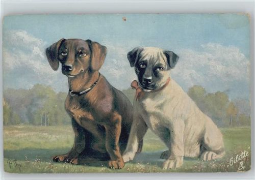 Tuck AK Nr. 467 B Serie Hundegruppen 1910 AK