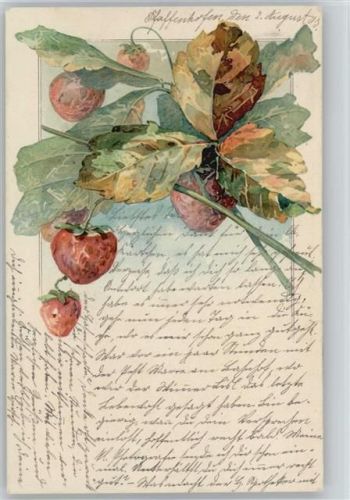 1903 Erdbeeren