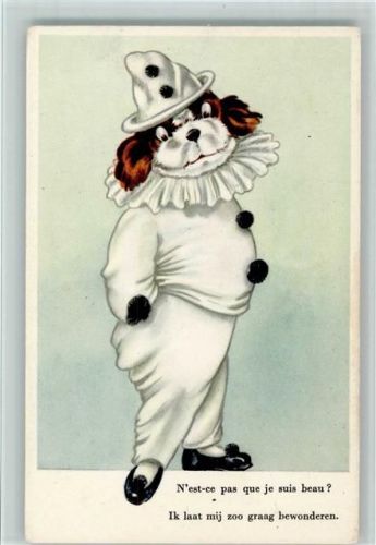 Hund als Pierrot - gute Erhaltung