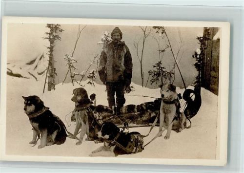 Kanada ca 1927 AK Hundeschlitten