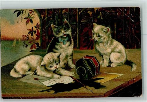 Bad Salzuflen Exsammlung Busse 3 Katzen spielen auf dem Schreibtisch und werfen ein Tintenfass um Hoffmanns Stärkefabriken