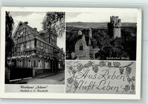 Auerbach 1950 Weinhaus Scherer und Schloß AK