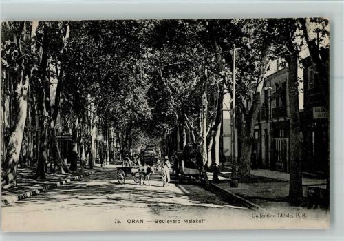 Oran 1906 Boulevaed Malakoff, gute Erhaltung AK