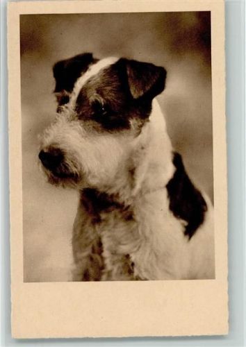 ca 1935 AK