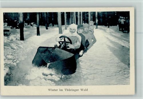 Thüringer Wald Bob Foto AK