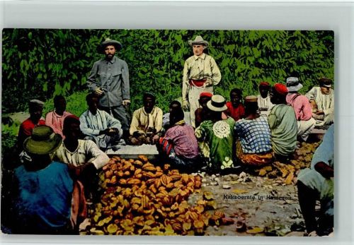 1919 Kakao-Ernte in Kamerun - Berufe - Verlag Basler Missionshandlung . Duala Kamerun