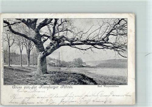 Flensburg 1902 Flensburger Föhrde Bad Wassersleben