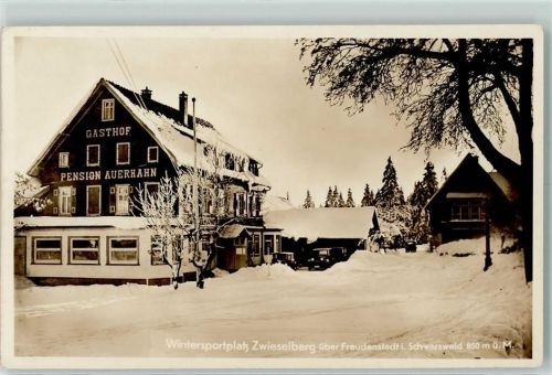 Zwieselberg Gasthof Pension Auerhahn Winter
