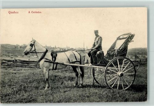 Quebec 1909 A Caleche Pferdekutsche Einspänner