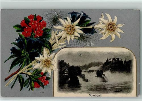 Schaffhausen Sciaffusa Rheinfall Edelweiss Enzian Lithographie/Prägedruck Pflanzen Gebrauchsspuren