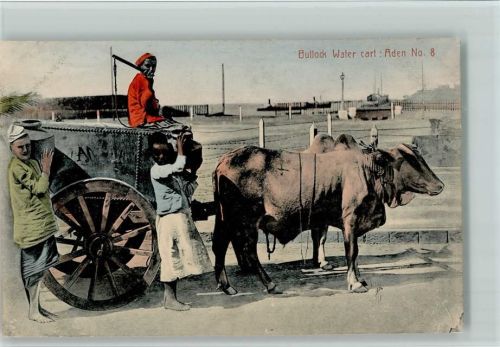 Bullock Water cart - Aden Nr. 8 - Volkstypen - Tiergespanne - gute Erhaltung