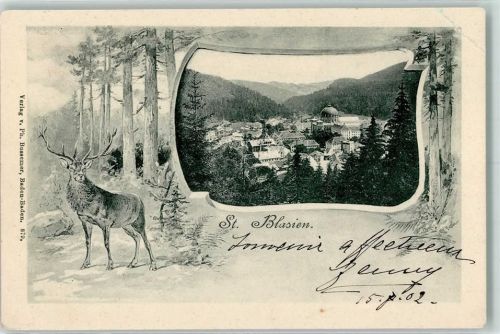 St. Blasien 1902 Passepartout Hirsch