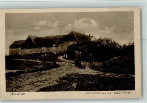 Pellworm 1927 Gut Seegaarden AK Gute Erhaltung