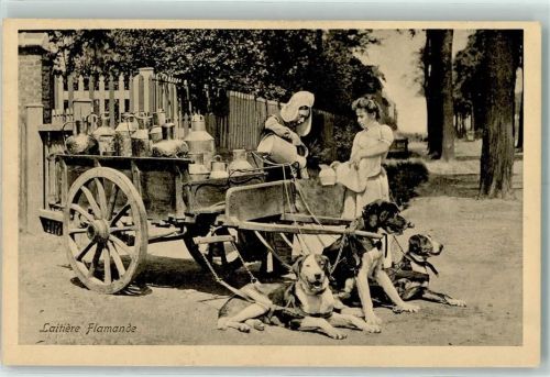 1917 Laitiere Flamande Beruf AK