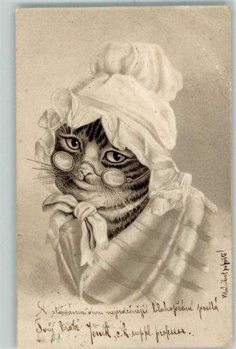 1905 Prägedruck Lithographie Katze mit Brille AK