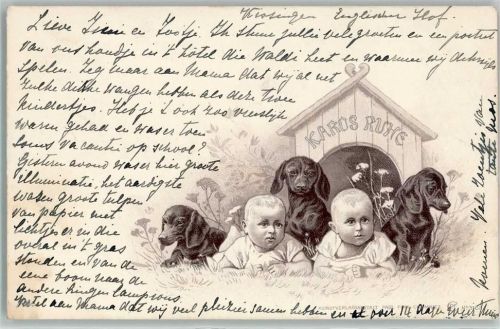 Hundehütte Baby Zwillinge AK