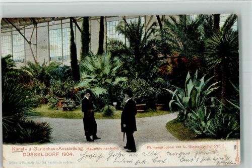 Düsseldorf 1904 Kunst und Gartenbau 1904 - Palmengruppen - Offiz. Karte Nr. 113, Eckknick