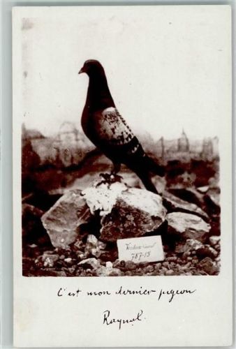 1916 Colombogramme du Commandant Raynal