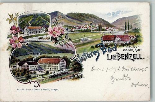 Bad Liebenzell 1903 Gruss aus - Eisenbahn , Unteres Bad AK
