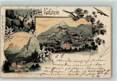 Kufstein 1899 Gruss aus - Tannenzapfen, Kunstverlag Moch & Stern 1256 AK