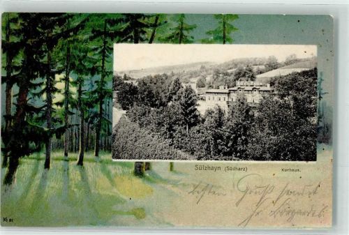 Sülzhayn 1902 Kurhaus Passepartout