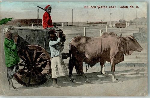 Aden Bullock Water cart Ochsenkarren Nr. 8