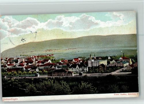 Gottmadingen 1911 Gesamtansicht