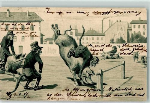 1903 Affen reiten auf Schweine AK