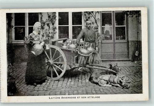 Laitiere Anversoise et Son Attelage AK