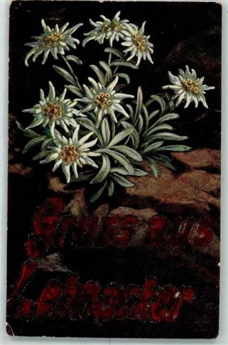 Lehnacker 1920 Edelweiss Gruss aus Lehnacker in Glitzer
