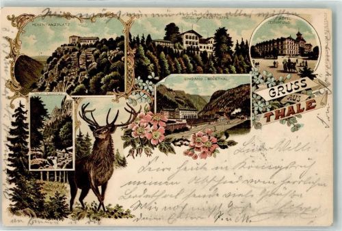 Thale 1899 Bahnpost Magdeburg Thale Zug 379 2.3.99 Hexentanzplatz Hotel z. Rosstrappe Hotel Zehnpfund Eingang i. Bodetal Teufelsbrücke Hirsch