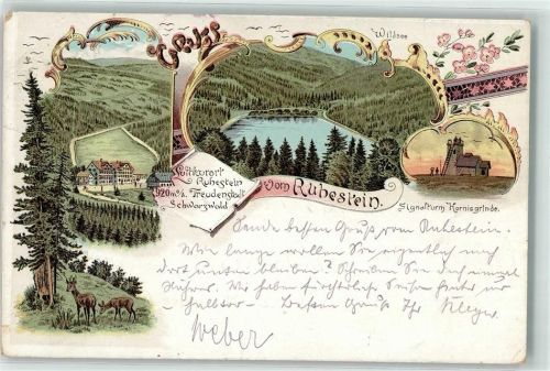 Ruhestein 1898 Wildsee Signalturm Hornisgrinde Schwarzwald Reh Blumen