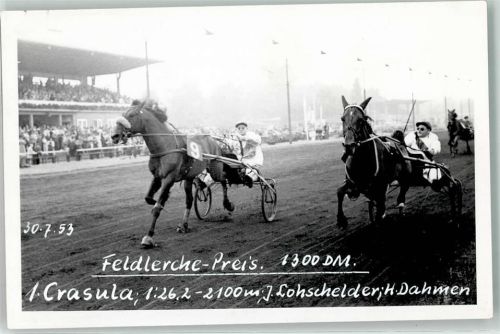 1953 Feldlerche Preis 1. Crasula J. Lohschelder