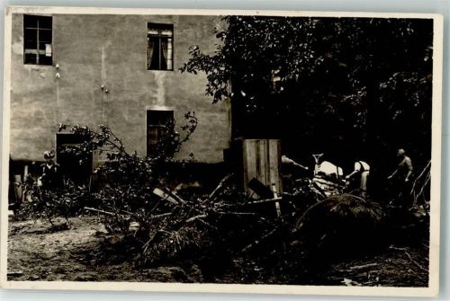 01768 O8245 Glashütte , Sachs 1927 Foto AK Unwetterkatastrophe 8. Juli 1917 Angeschwemmtes Pferd