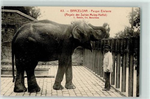Barcelona Zoo Parque Elefante (Regalo dei Sultan Muley-Haffid)