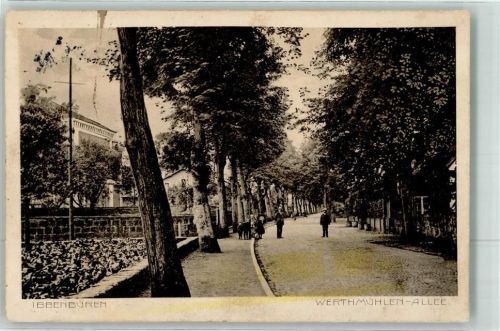 Ibbenbüren 1913 Werthmühlen Allee