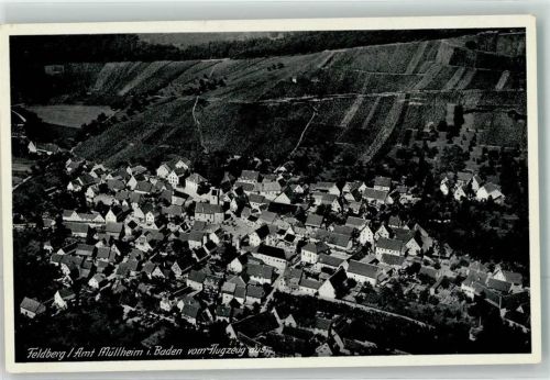 Feldberg Fliegeraufnahme