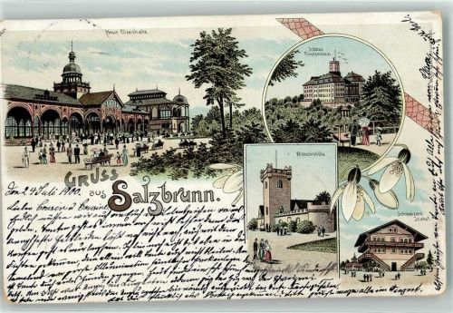 Bad Salzbrunn 1900 Neue Elisenhalle Schloss Fürstenstein Wilhelmshöhe Schweizerei Idahof