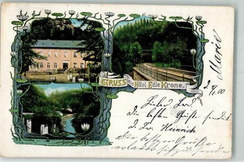 Edle Krone 1900 Hotel Edle Krone See Seerosen Bahnpost Dresden-Reichenbach Zg. 100