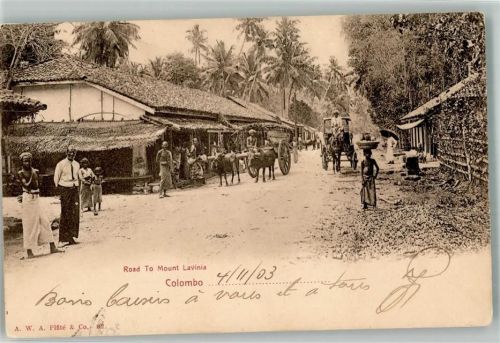 Colombo 1903 Road to Mount Lavinia