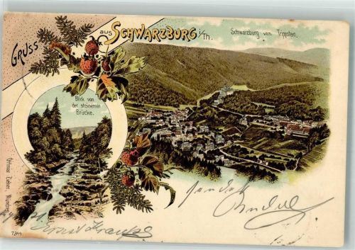 Schwarzburg 1899 Bergbach Steinerne Brücke Erdbeeren Verlag Ottmar Zieher-München