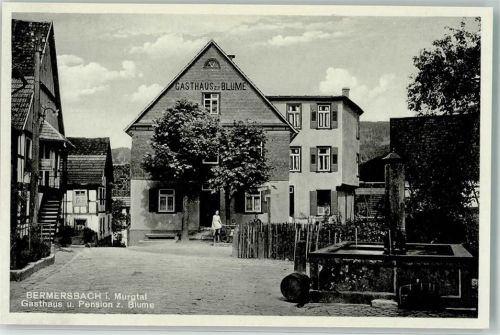 Bermersbach Gasthaus zur Blume Brunnen