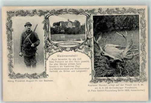Grillenburg 1907 König Friedrich August III Adel erlegt 16ender Hirsch AK