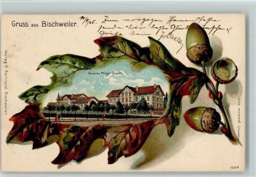 Bischwiller 1905 Passepartout Eichenblatt Bezirks Pflege-Anstalt