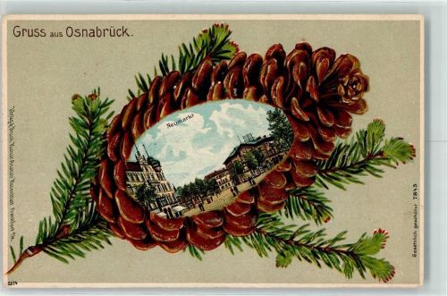 Osnabrück Tannenzapfen Neumarkt Lithographie