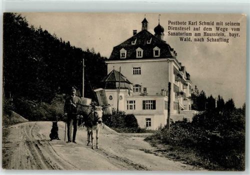 Sanatorium a Hausstein Sanatorium Hausstein Postbote Karl Schmid Dienstesel Hund